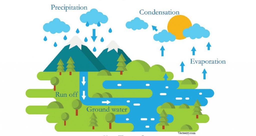 Energy & WaterShade Development